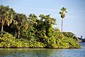 Peanut-Island-Web-3948 (49369641181)