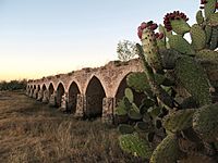 Archivo:Puente del Camino Real de Tierra Adentro de Ojuelos
