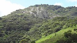 Rebio pedra talhada 2.jpg