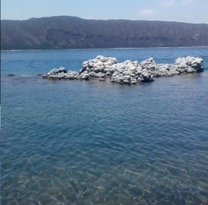 Archivo:Rocas Laguna de Alchichica
