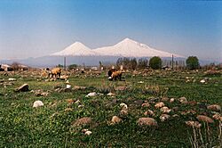 Sadarak Agri.jpg