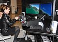 Sarah Palin Flight Simulator