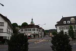 Archivo:Schoenenwerd 295