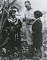 Schultes amazon 1940s