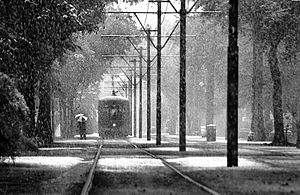 Archivo:Snow in New Orleans by evreniz