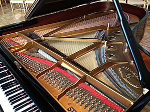 Archivo:Steinway grand piano interior