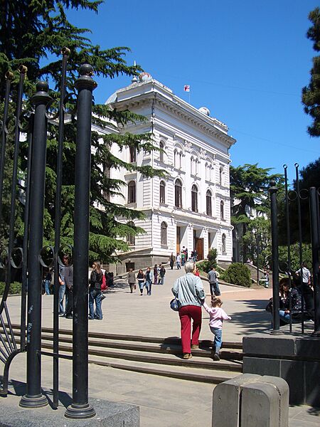 Tbilisi State University gate