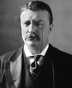 Archivo:Theodore Roosevelt circa 1902