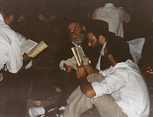 Archivo:TishaBeav
