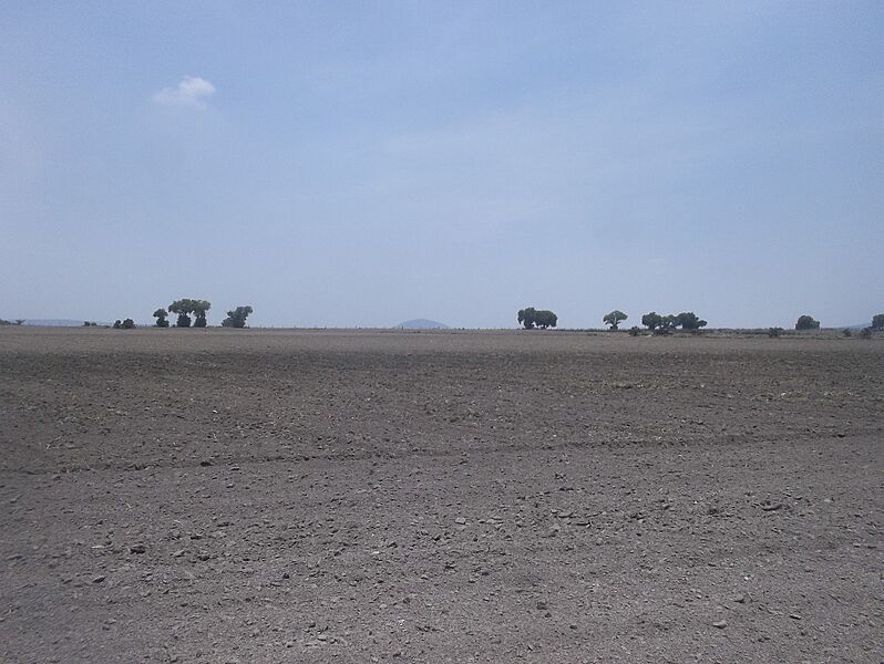 Tolcayuca (5)
