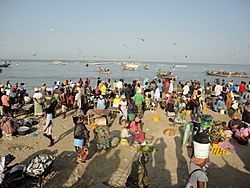 Traders at the fish market in Gambia...2.jpg