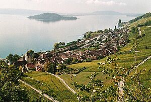 Archivo:Twann am Bielersee mit Petersinsel