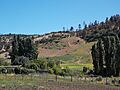 Valle de Pupuya