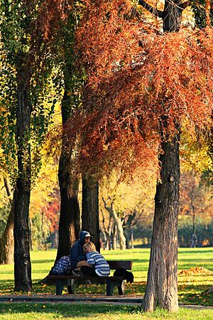 Archivo:Warm Love (126797777)