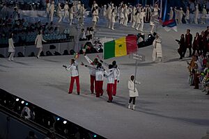 Archivo:2010 Opening Ceremony - Senegal entering