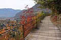 Bozen Oswaldpromenade Nov 2015 (9)