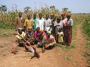 Archivo:Burkina Faso - Tarfila Farming Group