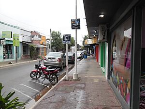 Archivo:Centro de la ciudad de saladas