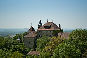 Archivo:Château de Montagnieu