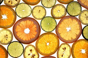 Archivo:Citrus fruits
