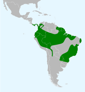 Distribución geográfica de los conopofágidos.