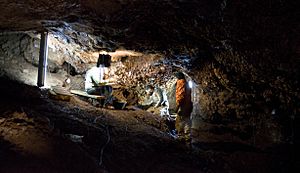 Archivo:Cueva del Conejar (19175407826)