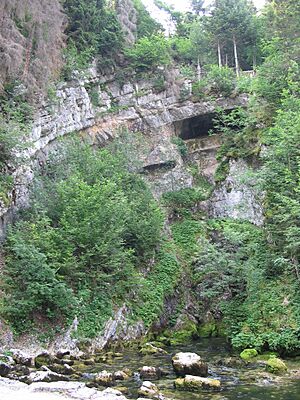 Archivo:Doubs source
