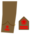 Ejerpopulardivi13