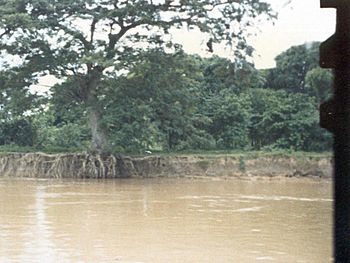 Archivo:Erosión en El Samán del Apure