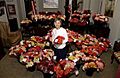 Feb14 boxer roses