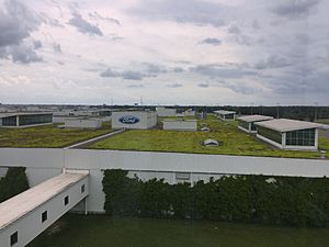 Archivo:Ford Rouge Plant green roof 2019