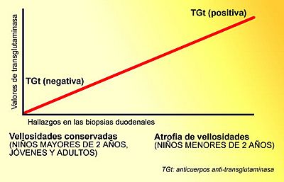 Archivo:Gráfico relación TGt-vellosidades
