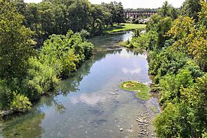 Archivo:Guadalupe river new braunfels south