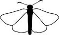 Heteropterinae