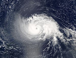 Archivo:Hurricane Isabel 10 sept 2003 1640Z