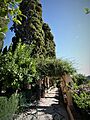 Jardín Carmen Cipreses