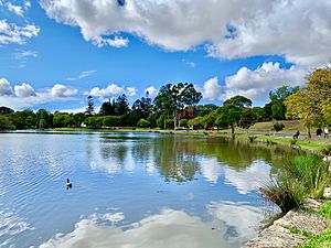 Archivo:Lake at the University of Queensland, St Lucia Campus, 01
