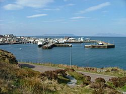 Mallaig and the Harbour - geograph.org.uk - 773927.jpg