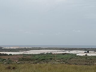 Mazarulleque.jpg
