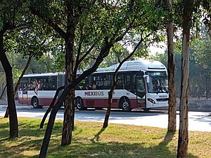 Archivo:Mexibús insurgentes