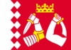 North karelia flag.svg