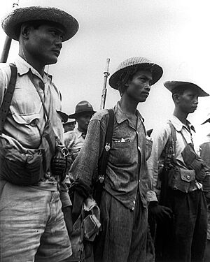 Archivo:Pajota's Guerrillas