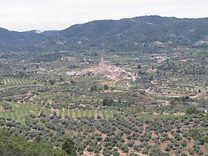 Archivo:Panorámica rural del término municipal de Belmonte de San José o Bellmunt de Mesquí (Teruel)