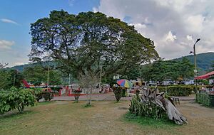 Archivo:Parque 2 Bochalema NS ene 2024