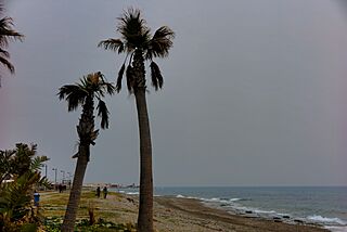 Playa de Carchuna.jpg