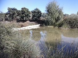 Archivo:Presa de los pinos de Láchar