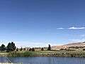 Quitapesares - Campo de golf norte