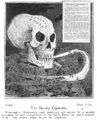 Smoking Dangers - 1905 new