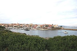 Stintino - Panorama (03).jpg
