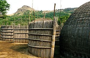 Archivo:Swaziland - Traditional homes